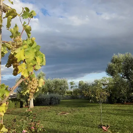 Riposo Del Vento 3* Cisternino