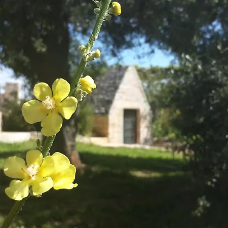 Riposo Del Vento