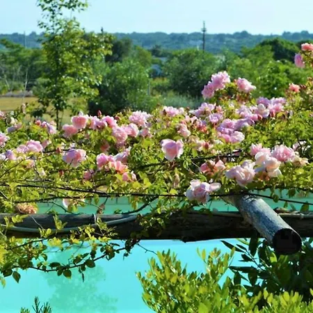 Bed & Breakfast Riposo Del Vento Cisternino